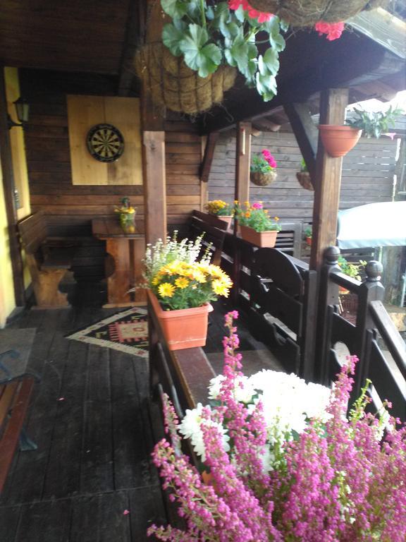 Vila Dariana Vatra Dornei Quarto foto